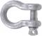 5/16" Anchor Shackle w/Screw Pin