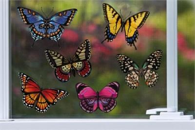 Butterfly Screen Saver Assorted