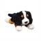 Burmese Mountain Dog 8" Bean Bag