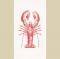 DEST LOBSTER FLOUR SACK TOWEL